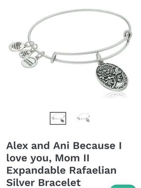 Alex and Ani Silver-Tone Expandable Charm Bracelet